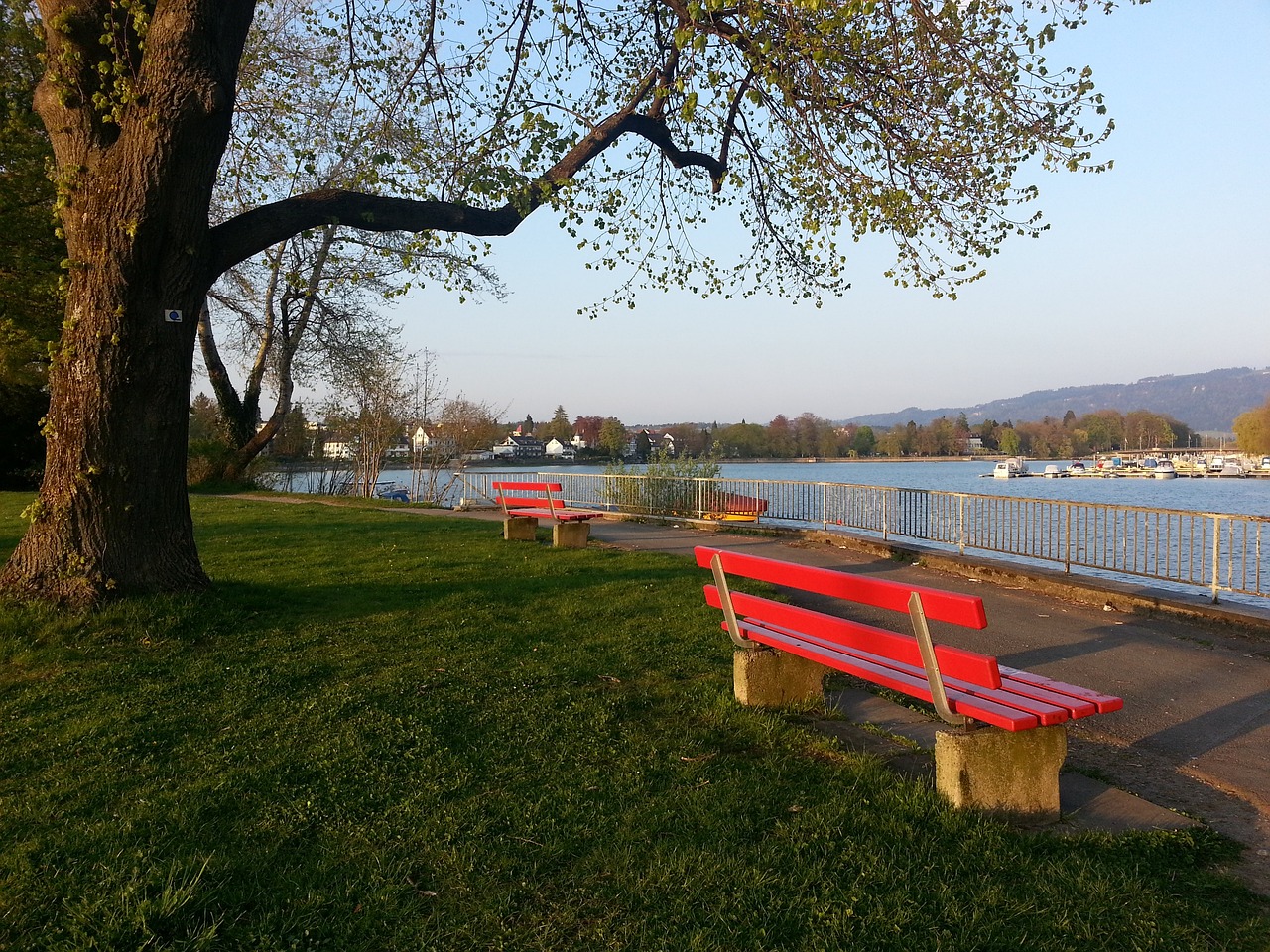 NBA战报：格莱姆斯22分，76人116-101轻取雄鹿