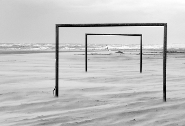 在国内外赛 在国内外赛