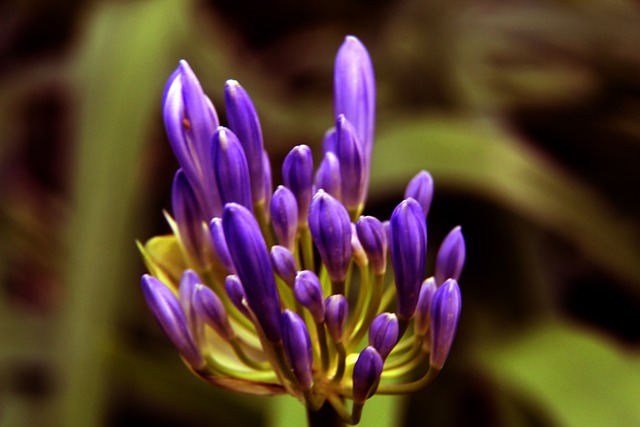 的一次突破 的一次突破