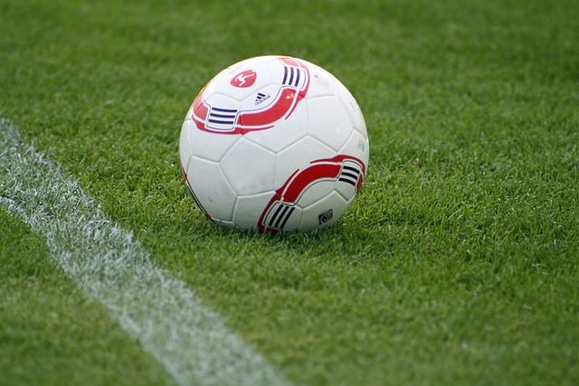 动员在比赛 动员在比赛