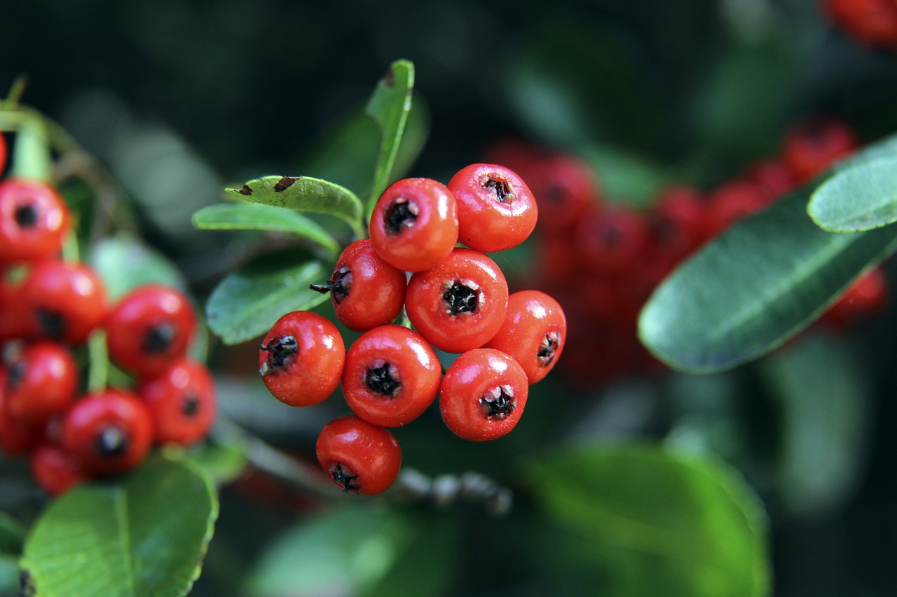 萬預計訪客 萬預計訪客