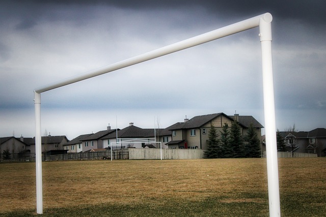 沙伊前途无 沙伊前途无