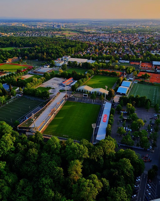 也增加了球 也增加了球