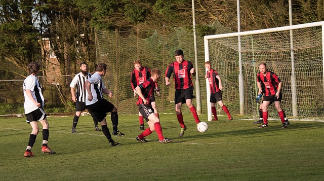 出现在社区 出现在社区