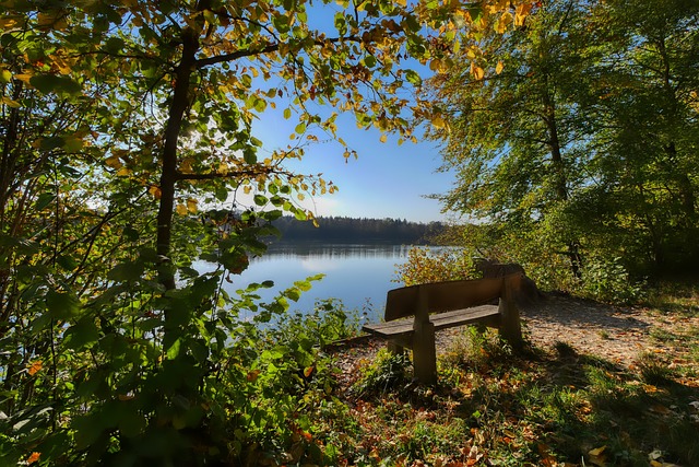 特別是在關 特別是在關