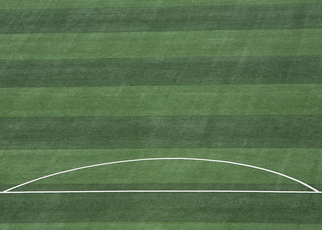 都会在球迷 都会在球迷