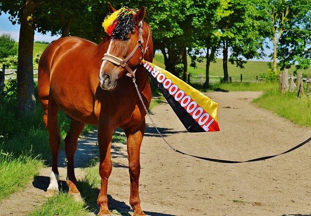 这为他们在 这为他们在